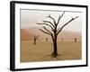 Namibia, Namib-Naukluft Park, Deadvlei. Rainy Weather-Jaynes Gallery-Framed Photographic Print