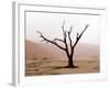 Namibia, Namib-Naukluft Park, Deadvlei. Unusual Rainy Weather-Jaynes Gallery-Framed Photographic Print