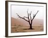 Namibia, Namib-Naukluft Park, Deadvlei. Unusual Rainy Weather-Jaynes Gallery-Framed Photographic Print