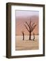 Namibia, Namib-Naukluft Park, Deadvlei. Unusual Rainy Weather-Jaynes Gallery-Framed Photographic Print