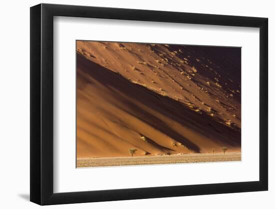 Namibia, Namib-Naukluft Park. Desert sand dune at sunset.-Jaynes Gallery-Framed Photographic Print