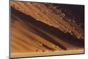 Namibia, Namib-Naukluft Park. Desert sand dune at sunset.-Jaynes Gallery-Mounted Photographic Print