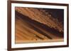 Namibia, Namib-Naukluft Park. Desert sand dune at sunset.-Jaynes Gallery-Framed Photographic Print