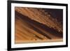 Namibia, Namib-Naukluft Park. Desert sand dune at sunset.-Jaynes Gallery-Framed Photographic Print