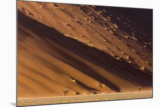 Namibia, Namib-Naukluft Park. Desert sand dune at sunset.-Jaynes Gallery-Mounted Photographic Print