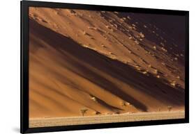 Namibia, Namib-Naukluft Park. Desert sand dune at sunset.-Jaynes Gallery-Framed Photographic Print