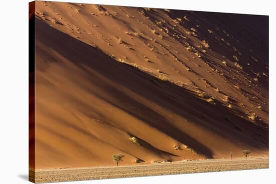 Namibia, Namib-Naukluft Park. Desert sand dune at sunset.-Jaynes Gallery-Stretched Canvas