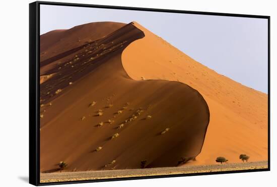 Namibia, Namib-Naukluft Park. Giant sand dune and trees.-Jaynes Gallery-Framed Stretched Canvas