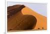 Namibia, Namib-Naukluft Park. Giant sand dune and trees.-Jaynes Gallery-Framed Photographic Print