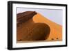 Namibia, Namib-Naukluft Park. Giant sand dune and trees.-Jaynes Gallery-Framed Photographic Print