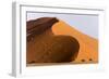 Namibia, Namib-Naukluft Park. Giant sand dune and trees.-Jaynes Gallery-Framed Photographic Print