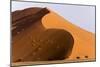 Namibia, Namib-Naukluft Park. Giant sand dune and trees.-Jaynes Gallery-Mounted Photographic Print