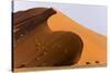Namibia, Namib-Naukluft Park. Giant sand dune and trees.-Jaynes Gallery-Stretched Canvas