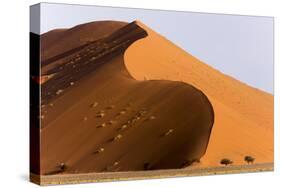 Namibia, Namib-Naukluft Park. Giant sand dune and trees.-Jaynes Gallery-Stretched Canvas
