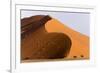 Namibia, Namib-Naukluft Park. Giant sand dune and trees.-Jaynes Gallery-Framed Photographic Print