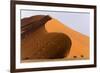 Namibia, Namib-Naukluft Park. Giant sand dune and trees.-Jaynes Gallery-Framed Photographic Print