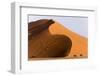 Namibia, Namib-Naukluft Park. Giant sand dune and trees.-Jaynes Gallery-Framed Photographic Print