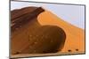 Namibia, Namib-Naukluft Park. Giant sand dune and trees.-Jaynes Gallery-Mounted Photographic Print