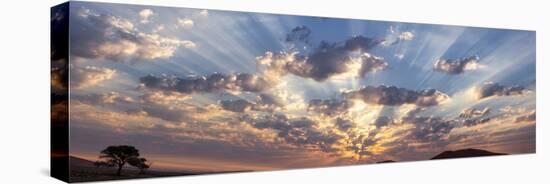 Namibia, Namib-Naukluft Park. Panoramic of God beams over desert at sunset.-Jaynes Gallery-Stretched Canvas