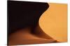 Namibia, Namib-Naukluft Park. Red Sand Dune Abstract-Jaynes Gallery-Stretched Canvas