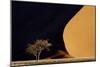 Namibia, Namib-Naukluft Park. Red Sand Dunes Contrast and Tree-Jaynes Gallery-Mounted Photographic Print