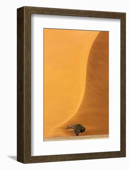 Namibia, Namib-Naukluft Park. Sand Dune and Tree-Wendy Kaveney-Framed Photographic Print