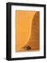 Namibia, Namib-Naukluft Park. Sand Dune and Tree-Wendy Kaveney-Framed Photographic Print