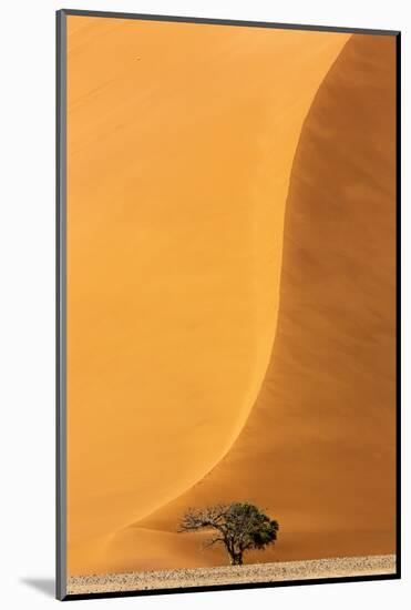 Namibia, Namib-Naukluft Park. Sand Dune and Tree-Wendy Kaveney-Mounted Photographic Print