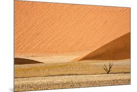 Namibia, Namib-Naukluft Park. Sand Dunes and Lone Dead Tree-Wendy Kaveney-Mounted Premium Photographic Print