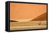 Namibia, Namib-Naukluft Park. Sand Dunes and Lone Dead Tree-Wendy Kaveney-Framed Stretched Canvas