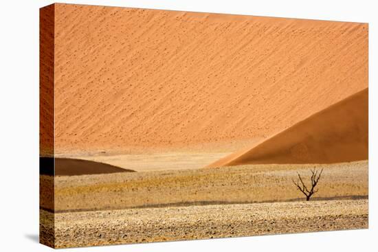 Namibia, Namib-Naukluft Park. Sand Dunes and Lone Dead Tree-Wendy Kaveney-Stretched Canvas