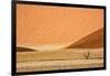 Namibia, Namib-Naukluft Park. Sand Dunes and Lone Dead Tree-Wendy Kaveney-Framed Photographic Print