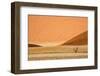 Namibia, Namib-Naukluft Park. Sand Dunes and Lone Dead Tree-Wendy Kaveney-Framed Photographic Print