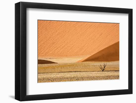Namibia, Namib-Naukluft Park. Sand Dunes and Lone Dead Tree-Wendy Kaveney-Framed Photographic Print