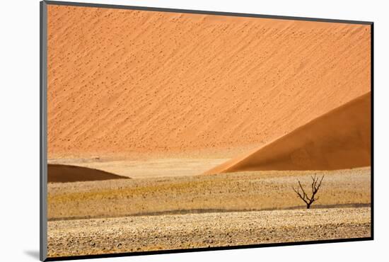 Namibia, Namib-Naukluft Park. Sand Dunes and Lone Dead Tree-Wendy Kaveney-Mounted Photographic Print