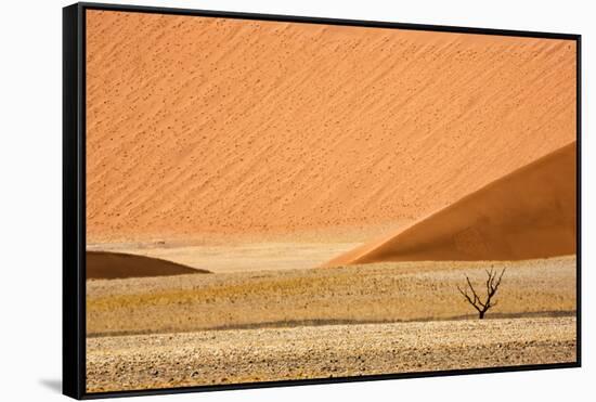 Namibia, Namib-Naukluft Park. Sand Dunes and Lone Dead Tree-Wendy Kaveney-Framed Stretched Canvas