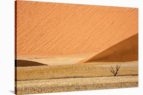 Namibia, Namib-Naukluft Park. Sand Dunes and Lone Dead Tree-Wendy Kaveney-Stretched Canvas