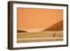 Namibia, Namib-Naukluft Park. Sand Dunes and Lone Dead Tree-Wendy Kaveney-Framed Photographic Print