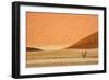 Namibia, Namib-Naukluft Park. Sand Dunes and Lone Dead Tree-Wendy Kaveney-Framed Photographic Print