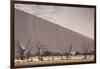 Namibia, Namib-Naukluft Park. Sand Dunes and Skeleton Trees-Wendy Kaveney-Framed Photographic Print