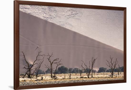 Namibia, Namib-Naukluft Park. Sand Dunes and Skeleton Trees-Wendy Kaveney-Framed Photographic Print