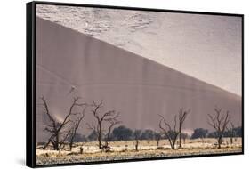 Namibia, Namib-Naukluft Park. Sand Dunes and Skeleton Trees-Wendy Kaveney-Framed Stretched Canvas