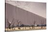 Namibia, Namib-Naukluft Park. Sand Dunes and Skeleton Trees-Wendy Kaveney-Stretched Canvas