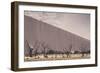 Namibia, Namib-Naukluft Park. Sand Dunes and Skeleton Trees-Wendy Kaveney-Framed Photographic Print