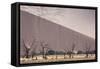 Namibia, Namib-Naukluft Park. Sand Dunes and Skeleton Trees-Wendy Kaveney-Framed Stretched Canvas