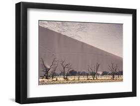 Namibia, Namib-Naukluft Park. Sand Dunes and Skeleton Trees-Wendy Kaveney-Framed Photographic Print