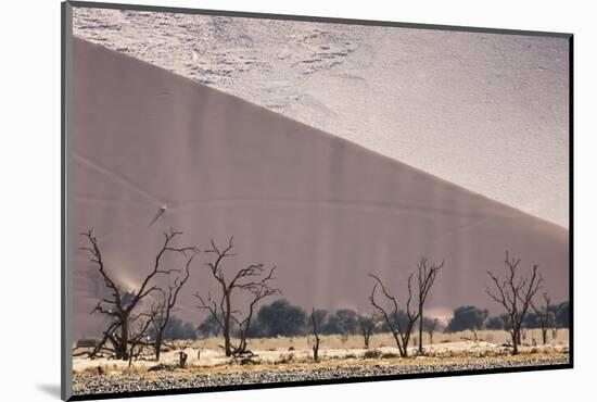 Namibia, Namib-Naukluft Park. Sand Dunes and Skeleton Trees-Wendy Kaveney-Mounted Photographic Print