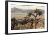 Namibia, Naukluft National Park, Quiver Tree, Aloe, Kokerboom-Stuart Westmorland-Framed Photographic Print