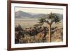 Namibia, Naukluft National Park, Quiver Tree, Aloe, Kokerboom-Stuart Westmorland-Framed Photographic Print