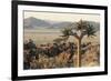 Namibia, Naukluft National Park, Quiver Tree, Aloe, Kokerboom-Stuart Westmorland-Framed Photographic Print